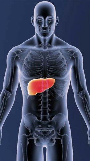 Your Gut Is Your First Line of Defense 🤯 | Leaky Gut & Liver Detox Explained