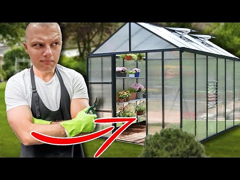 How I Built my DIY PVC Pipe Greenhouse on a Budget!