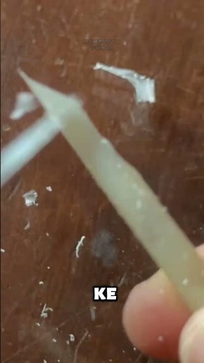 Quill Pen: pena bulu yang dipakai menulis di abad pertengahan