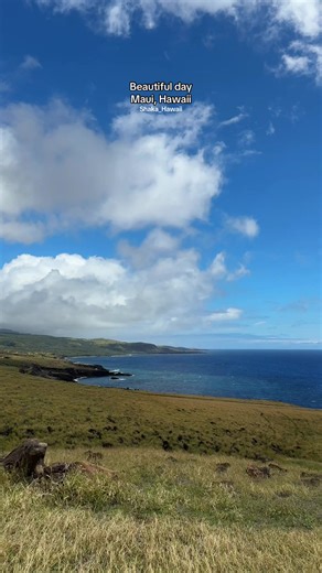Exploring the Beautiful Day in Maui, Hawaii