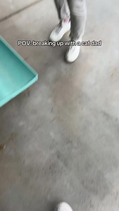 Never fails 😌 #cat #cats #catsofinstagram #funnycat #catlover #funnycats #catowner #catlovers | Jared Braden