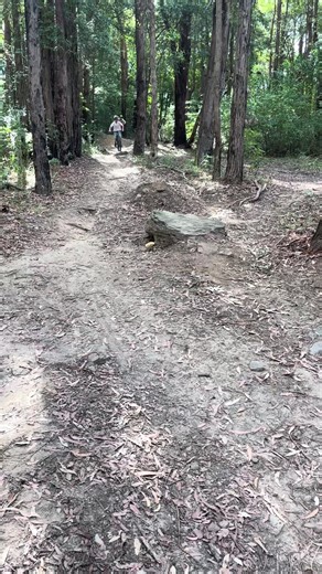 Exploring Mountain Bike Filming Techniques