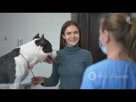 The Shocking Truth About Debarking Dogs: Why Vets Refuse This Controversial Surgery