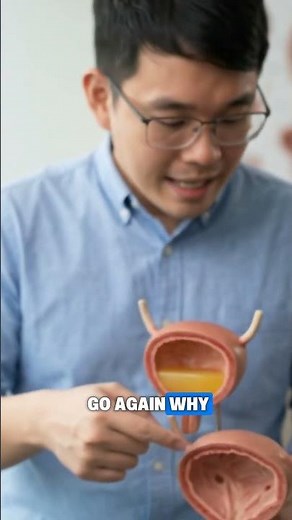 Why Do You Always Feel the Need to Pee? The Science of the "Constant Urge"! 🚽🩺