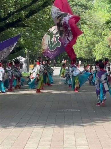 よさこい祭り in 光が丘公園 ダンスパフォーマンス集団 迫 -HAKU- 2026 昴-スバル-RISE