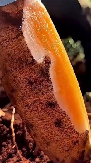 Sweet potato remedy preparation method process 🍠👩‍🍳 #asianfood #foodprep #kitchen