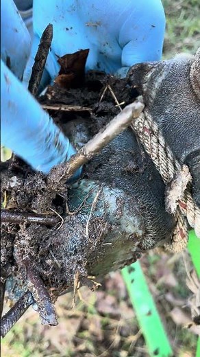 Cow Hoof Rescue master