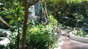 Sam's Town Mystic Park Atrium (Las Vegas Free Attractions Off Strip | Jacobs Life in Vegas