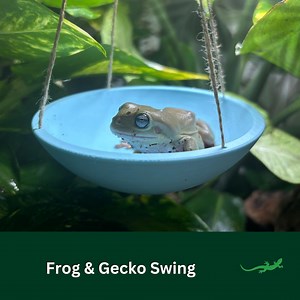 FROG Swing, Swinging Ledge Platform, Vivarium Decor, Crested Gecko, Dart Tree Frog, Whites Tree Frog Bath, Amphibian Gift, Climbing Spot, - Etsy