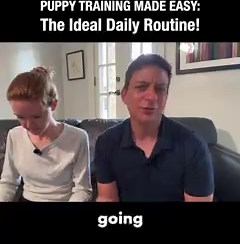 4.2K views · 57 reactions | How often and how long should you train...