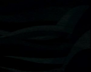 Nicktoon Summer Splash bumper (2)