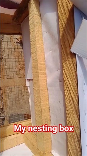 best way to build a nesting box #chicken