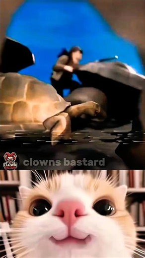 war fild tortoise 🐢 #3danimation #shorts