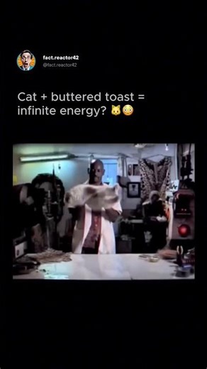 The internet’s greatest experiment 🐱😂