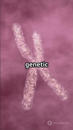 Chromosomal Aberrations