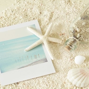 子供にウケる！貝殻で作る工作アイデア12選！自由研究にも使える作り方もご紹介！