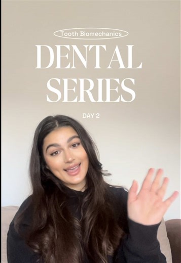 Understanding Stress in Dental Materials