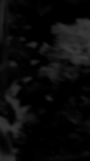 Only wise people ! 🙂 #fyppppppppppppppppppppppp #foryou #youlosthim #unfrezzmyaccount