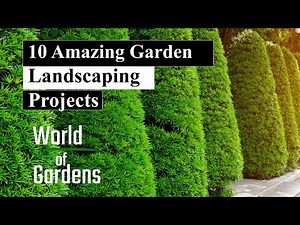 10 Amazing Garden Landscaping Projects
