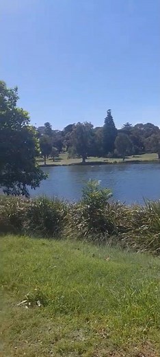 A walk in Centennial Park Sydney Australia