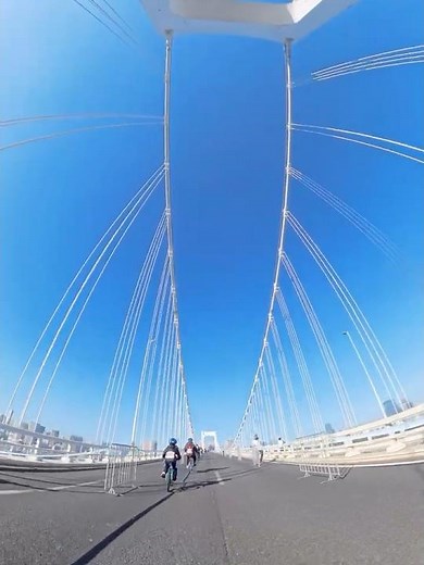 レインボーブリッジ封鎖！レインボーライド2025 #ロードバイク #自転車 #レインボーライド