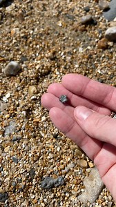 21K views · 81 reactions | Here is a small piece of crinoid that I found, it’s amazing how these fossils look like stars!  #fossils #fossil #crinoid #ammonite #ammonites #pyrite #ancient #curiosity #nature #photography #natural #history #naturalhistory #jurassic #coast #jurassiccoast #beach #stones #rocks #sea #sand #maryanning #dinosaur #palaeontology #geology #dorset #charmouth #charmouthbeach #lymeregis #fascinatingfossils | Fascinating Fossils | Facebook