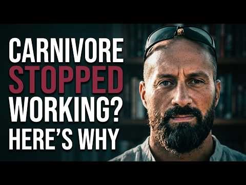 Carnivore Stopped Working? Here’s What’s Really Happening