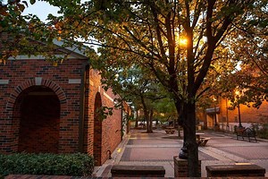 Hardin-Simmons University