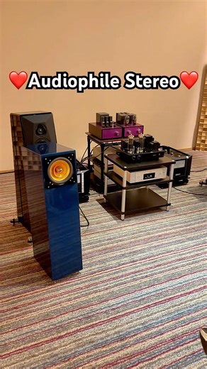 Audiophile HighEnd Audio ❤️ Home HiFi Stereo Sound System ⚙️ #hiend #speaker #music #bigjohn #setup