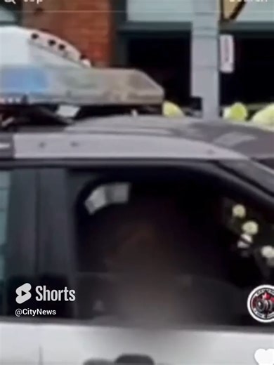 Toronto Police Officer Dispute with Citizen Sparks Controversy