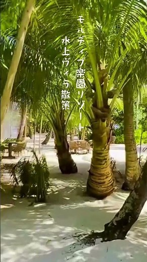 モルディブのリゾート散策！水上ヴィラと南国の癒し空間