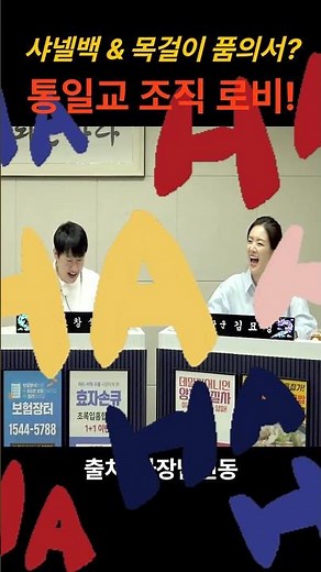 샤넬백 & 목걸이 품의서? 통일교 조직 로비! #헬마우스 #오평 #김묘성