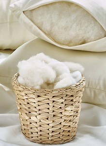 Wholesale Organic Wool