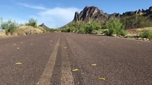 75K views · 1.4K reactions | Picacho Peak is seeing thousands of...