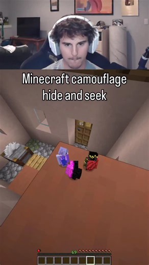 Daquavis on Instagram: "Minecraft hide and seek"