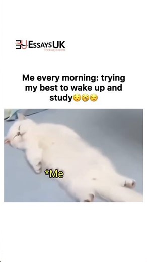 Homework made easy ✅ Get professional help from EssaysUk in just one click!💡#collegelife #relatable