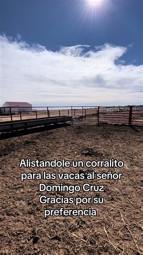 Building a Corral for Cattle in Colorado