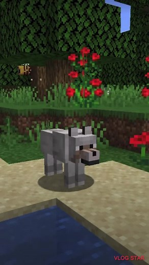 Minecraft Skeleton Dog: Adorable Pets and Animals