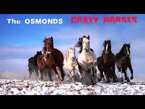The Osmonds - Crazy Horses (1972)