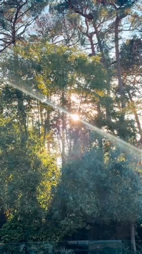 Leila | Events for Mums, South Coast, Self Care ✨🐚🌸☕️ on Instagram: "✨ GIVEAWAY ✨ The Ultimate Skin Within Package worth over £1000 could be yours in time for Christmas! Follow the steps below for your chance to win this incredible prize inlcuding a £500 Skin Within Voucher and Skin Within Alumier Luxury Hamper. Here’s how to enter: 👋🏽 Follow @skin.within.aesthetics @absolutely_wingingit & @wild_england 🩷 Like this post ✨ tag your friends! T&Cs: Entrents must be over 18 The prize is redeema