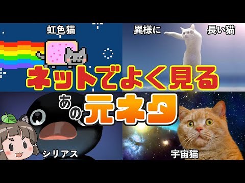 【生き物系】あの有名なネットミームの元ネタ6選