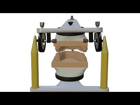 Occlusion: Articulator parameters