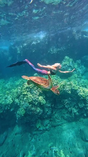 🐢 Becoming one with the ocean…#mermaid #turtle #seaturtle #underwater #diving Mertailor Mermaid Tails By Eric Ducharme | Mermaid Aqualina
