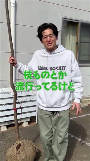 A huge wild-picked azalea. A rare find among rare things.