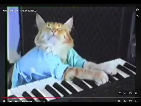 Cat piano meme original