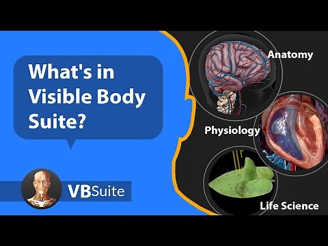Visible Body Suite: Our Complete Collection of Anatomy, Physiology, and Life Science Content