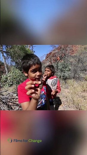 Indigenous Wisdom Nature, Wildlife, and Rescuing Baby Kangaroos