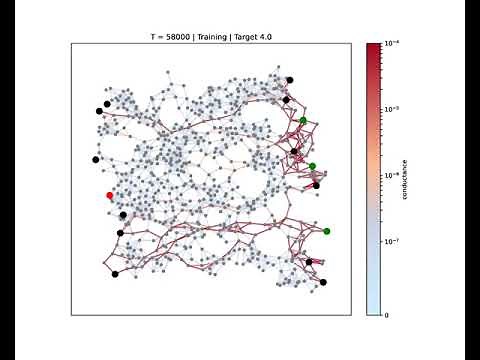 Nanowire networks learn and remember like a human brain