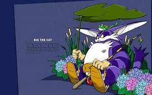 Big the Cat in Sonic Games. | Sonic the Hedgehog! Amino
