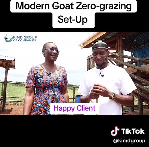 Modern Goat Zero-Grazing Setup in Kasangati